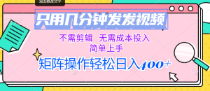 （12159期）只用几分钟发发视频，不需剪辑，无需成本投入，简单上手，矩阵操作轻松…-番茄副业网