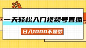（11906期）一天入门视频号直播带货，日入1000不是梦-番茄副业网