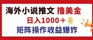 (12333期)最新海外小说推文撸美金,日入1000+ 蓝海市场,矩阵放大收益爆炸-番茄副业网