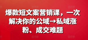 爆品短文案营销课,一次解决你的公域流量→公域增粉、交易量难点-番茄副业网