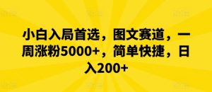 新手进入优选，图文并茂跑道，一周增粉5000 ，简单方便，日入200-番茄副业网