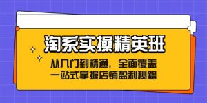 （12276期）淘系实操精英班：从入门到精通，全面覆盖，一站式掌握店铺盈利秘籍-番茄副业网