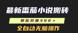 （11904期）最新番茄小说搬砖，日撸300＋！全自动操作，可矩阵放大-番茄副业网
