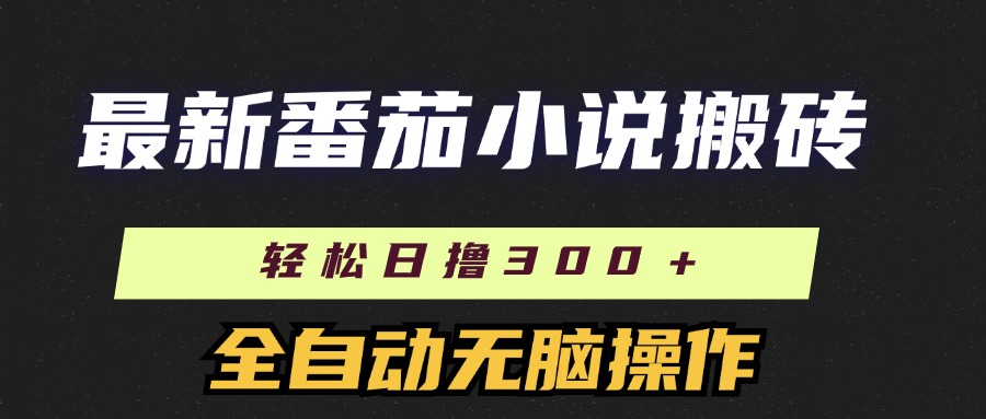 （11904期）最新番茄小说搬砖，日撸300＋！全自动操作，可矩阵放大-番茄副业网