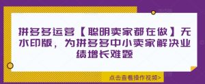 拼多多运营【聪慧商家也在做】无水印图片版,为拼多多平台中小商家处理业绩提升难点-番茄副业网
