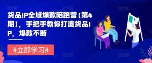 货品IP全域爆款陪跑营【第4期】,手把手教你打造货品IP,爆款不断-番茄副业网