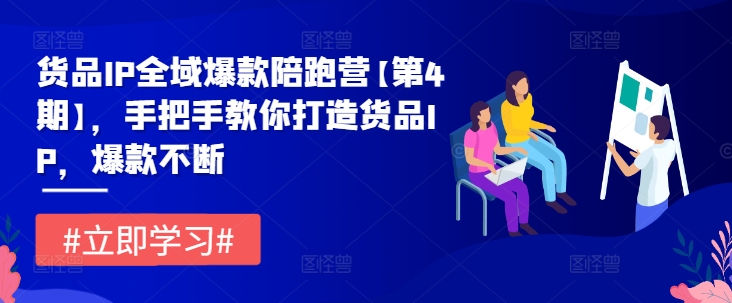 货品IP全域爆款陪跑营【第4期】，手把手教你打造货品IP，爆款不断-番茄副业网
