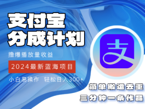 （12058期）2024蓝海项目，支付宝分成计划项目，教你刷爆播放量收益，三分钟一条作…-番茄副业网