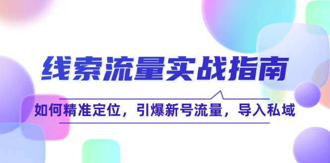 （12382期）线 索 流 量-实战指南：如何精准定位，引爆新号流量，导入私域-番茄副业网