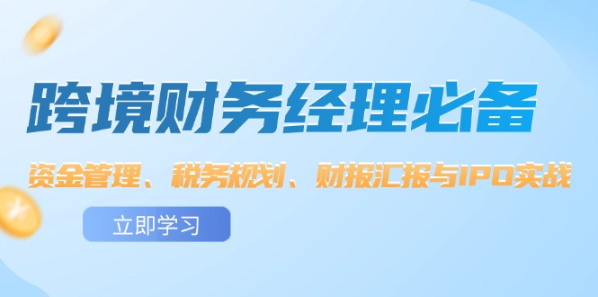 （12323期）跨境 财务经理必备：资金管理、税务规划、财报汇报与IPO实战-番茄副业网