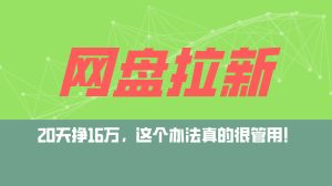 （12294期）网盘拉新+私域运营玩法，零基础入门，小白可操作，当天见效，日入5000+-番茄副业网