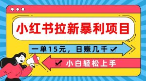 小红书的引流赚钱项目，一单15元，日赚好几千新手快速上手-番茄副业网