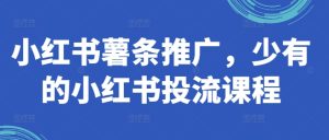 小红书的炸薯条营销推广，难得少有的小红书投流课程内容-番茄副业网