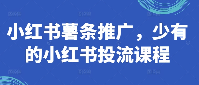 小红书的炸薯条营销推广，难得少有的小红书投流课程内容-番茄副业网