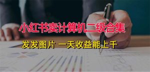 (12228期)小红书卖计算机二级合集,发发图片 一天收益能上千-番茄副业网