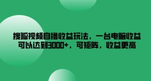 搜狐视频下载自撸盈利游戏玩法,一台电脑盈利能够达到3k ,可引流矩阵,收益更高【揭密】-番茄副业网