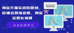 淘宝天猫实战陪跑班,店铺运营终结者,淘宝运营必修课-番茄副业网