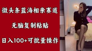 头条瀚海相亲约会跑道，没脑子拷贝，日入100 ，可批量处理-番茄副业网
