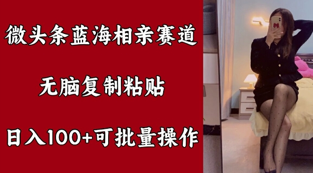 头条瀚海相亲约会跑道，没脑子拷贝，日入100 ，可批量处理-番茄副业网