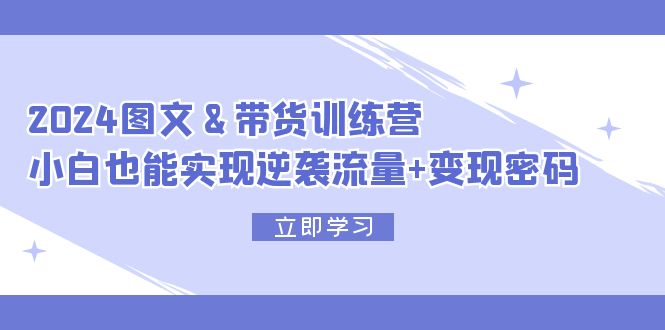 （12137期）2024 图文+带货训练营，小白也能实现逆袭流量+变现密码-番茄副业网