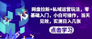 百度云盘引流 私域流量运营游戏玩法，零基础入门，小白可实际操作，当日奏效-番茄副业网