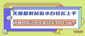 (12258期)无脑复制粘贴,小白轻松上手,电商0投资0成本轻松月入3W+-番茄副业网