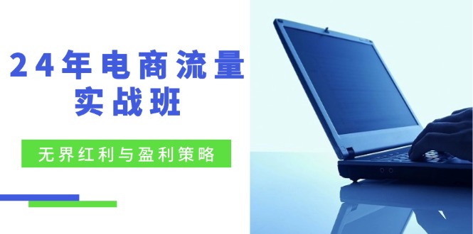 电商流量实战演练班：无边收益与赢利对策，最终提高/关键字优化/精准客户扩展/创新玩法-番茄副业网