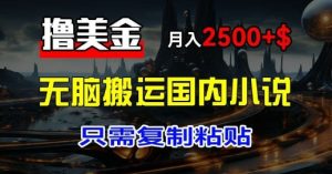 全新撸美元新项目：运送中国小说爽文，仅需拷贝，月入2k 美元-番茄副业网