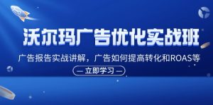 沃尔玛广告优化实战班，广告报告实战讲解，广告如何提高转化和ROAS等-番茄副业网
