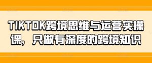 TIKTOK跨境电商逻辑思维和运营实操课,就做有内涵的跨境电商专业知识-番茄副业网