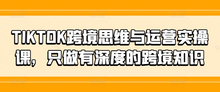TIKTOK跨境电商逻辑思维和运营实操课，就做有内涵的跨境电商专业知识-番茄副业网