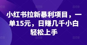 小红书的引流赚钱项目，一单15元，日赚好几千新手快速上手【揭密】-番茄副业网