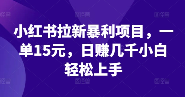 小红书的引流赚钱项目，一单15元，日赚好几千新手快速上手【揭密】-番茄副业网