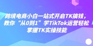 跨境电子商务新手一站式打开TK弄钱，教大家“从0到1”学TikTok经营快速掌握TK实操能力-番茄副业网