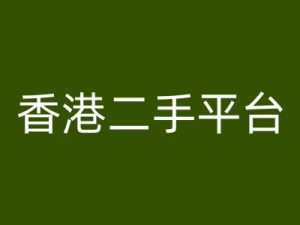 中国香港二手平台vintans电子商务，跨境电子商务实例教程-番茄副业网