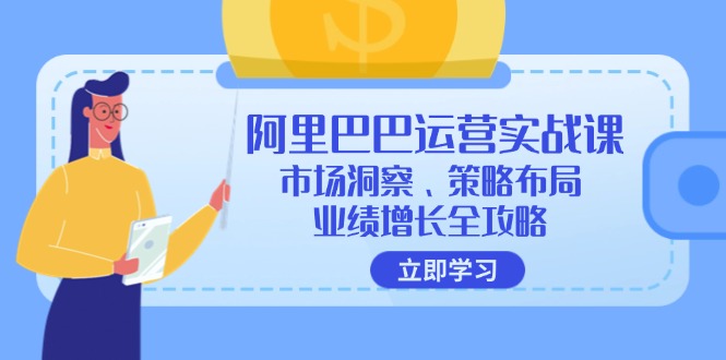 （12385期）阿里巴巴运营实战课：市场洞察、策略布局、业绩增长全攻略-番茄副业网