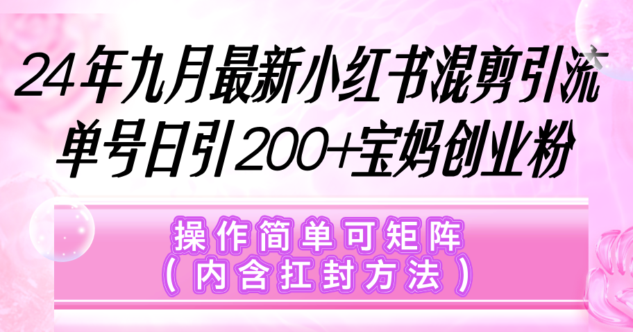 （12530期）小红书混剪引流，单号日引200+宝妈创业粉，操作简单可矩阵（内含扛封…-番茄副业网