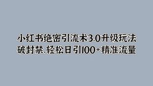 小红书绝密引流术3.0升级玩法，破封禁，轻松日引100+精准流量-番茄副业网
