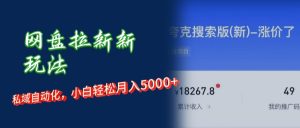 （12691期）网盘拉新新玩法：短剧私域玩法，小白轻松月入5000+-番茄副业网