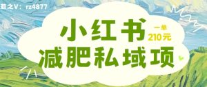 小红书减肥粉，私域变现项目，一单就达210元，小白也能轻松上手【揭秘】-番茄副业网