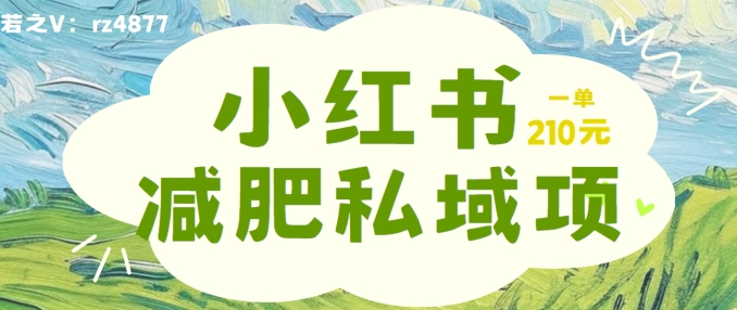 小红书减肥粉，私域变现项目，一单就达210元，小白也能轻松上手【揭秘】-番茄副业网