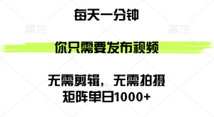 （12538期）矩阵单日1000+，你只需要发布视频，用时一分钟，无需剪辑，无需拍摄-番茄副业网