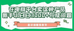 最新在电商平台发布这种产品，新手小白日入3k不成问题，最详细赚钱教学-番茄副业网