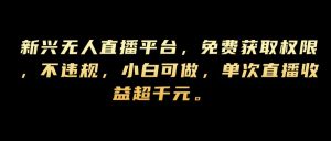 新兴无人直播平台，免费获取权限，不违规，小白可做，单次直播收益超千元-番茄副业网