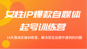 女性IP爆款自媒体起号训练营 14天落地实操训练营，解决您在运营中遇到的问题-番茄副业网