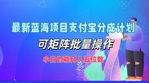 （12515期）最新蓝海项目支付宝分成计划，可矩阵批量操作，小白也能月入五位数-番茄副业网