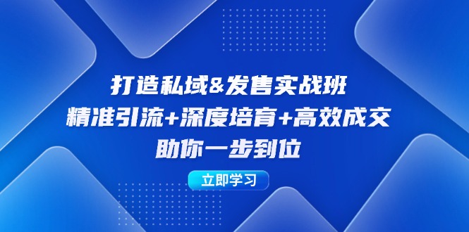 （12642期）打造私域&发售实操班：精准引流+深度培育+高效成交，助你一步到位-番茄副业网