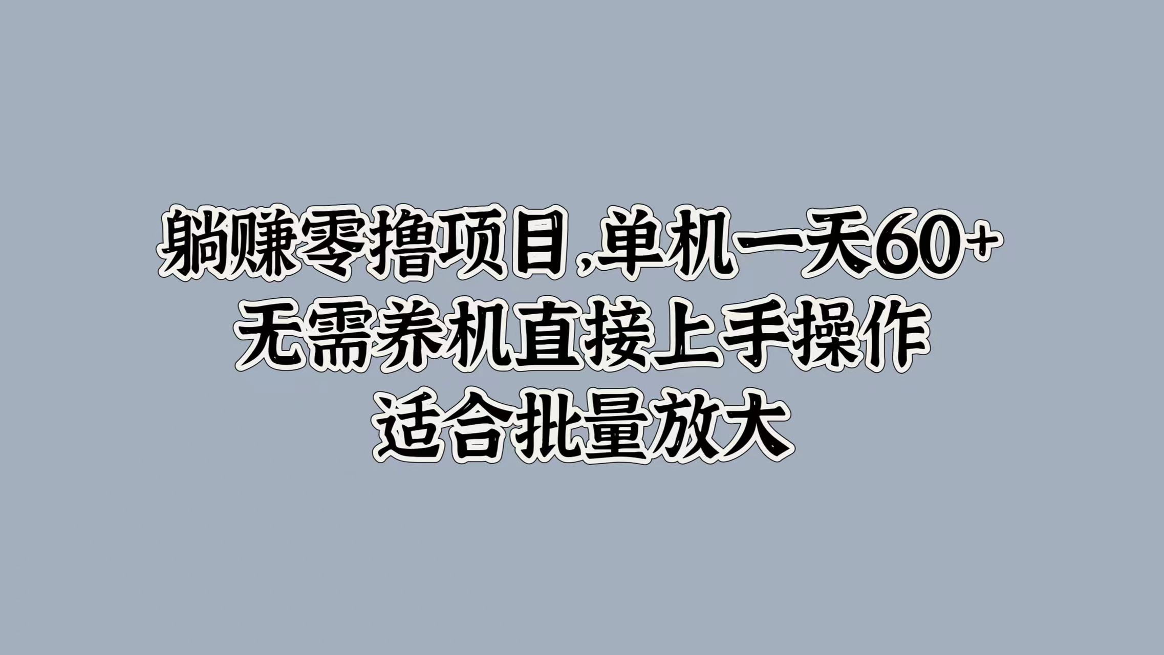 躺赚零撸项目，单机一天60+，无需养机直接上手操作，适合批量放大-番茄副业网
