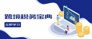 跨境税务宝典教程:跨境电商全球税务处理策略-番茄副业网
