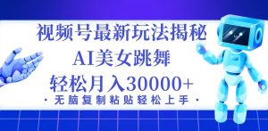 (12448期)视频号最新暴利玩法揭秘,小白也能轻松月入30000+-番茄副业网